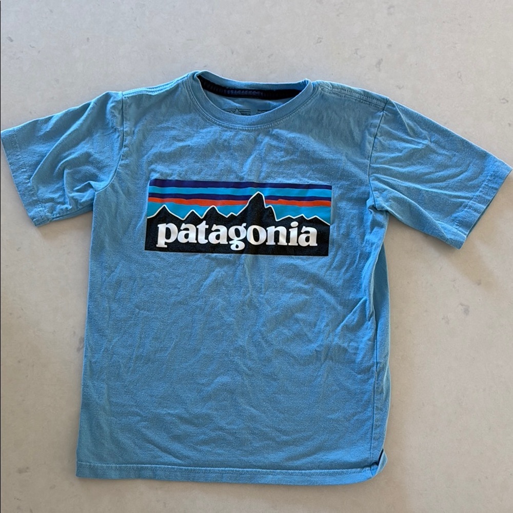 Patagonia Blue Short Sleeve Tee size XS (5-6)